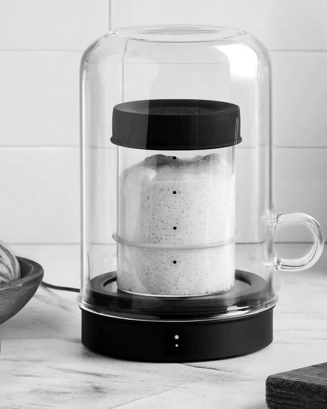 Sourhouse sourdough starter home under a glass dome on a kitchen counter